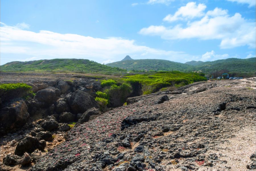 Explore Curaçao’s Best Hiking Trails with This Essential Guide