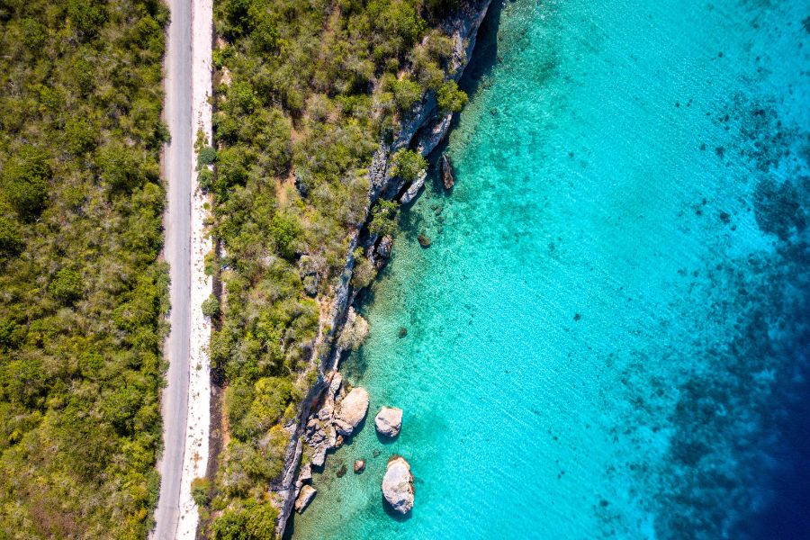 Person signing a Car Rental agreement
