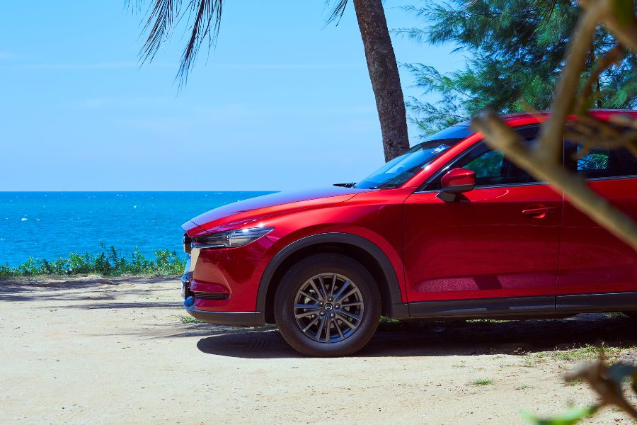 How to Rent a Car During Peak Season in Curaçao Without Overspending