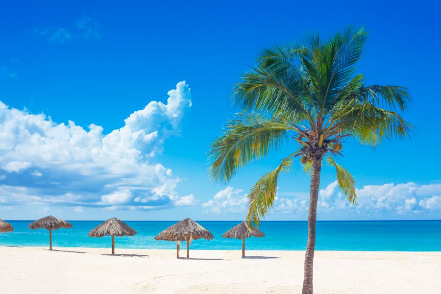The Best Family Attractions in Curaçao You Can Reach by Car